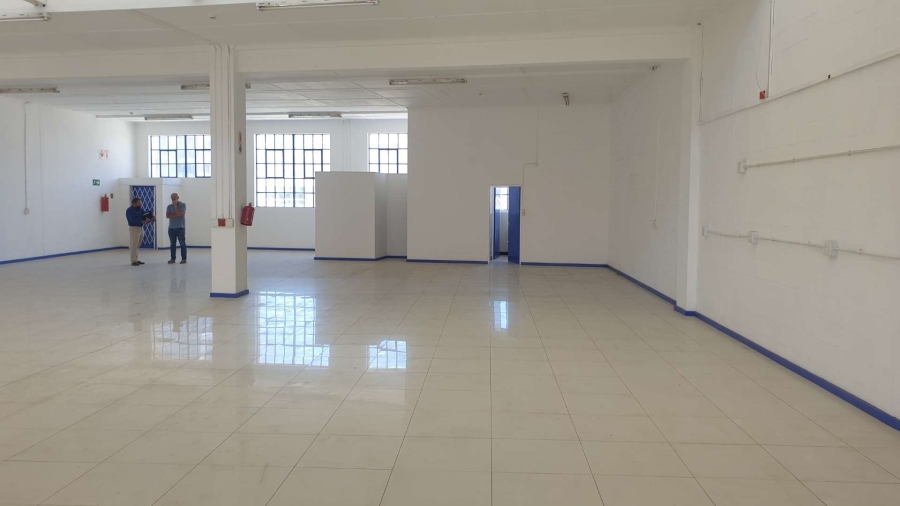 To Let commercial Property for Rent in Observatory Western Cape